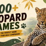 leopard names