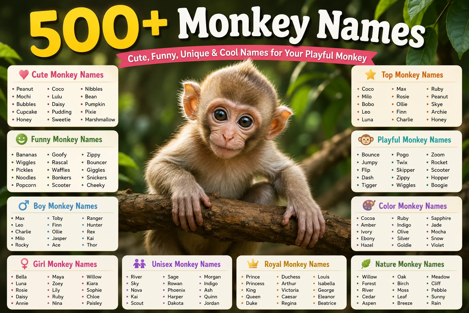 monkey names